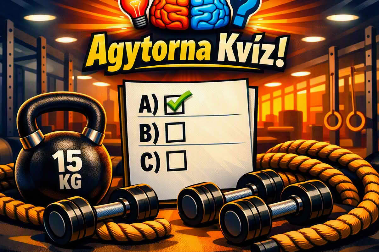 k agytorna 1204 sb 02 Agytorna kvíz