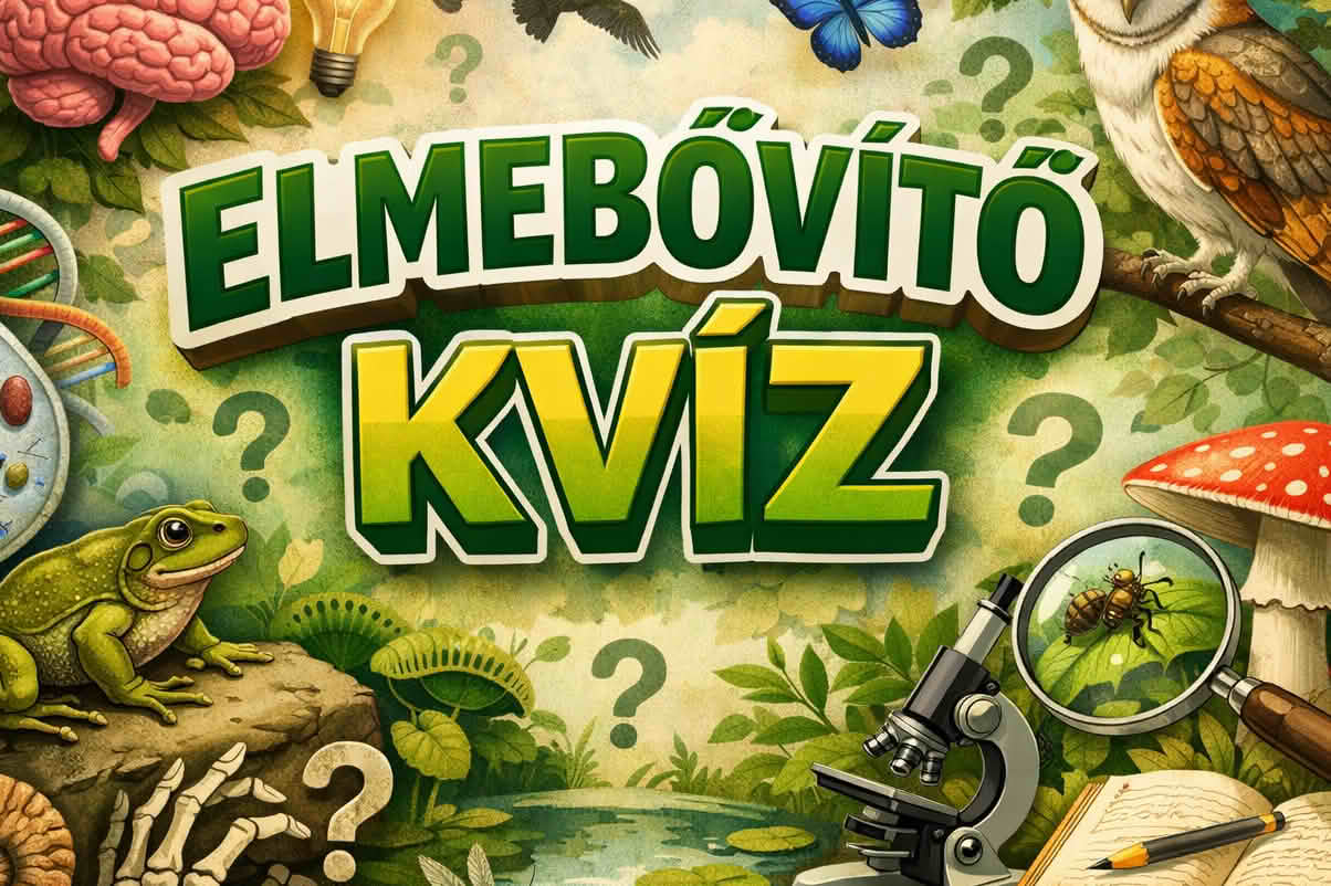 elmebővítő kvíz
