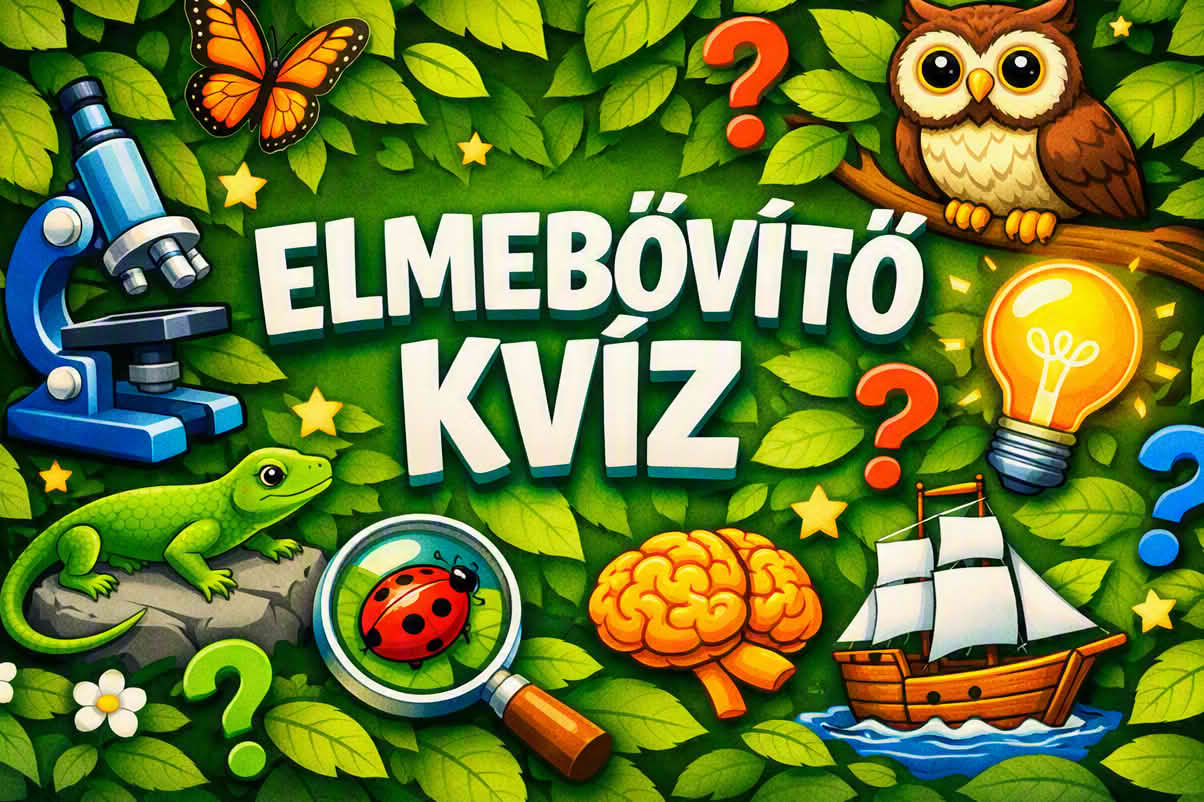elmebővítő kvíz
