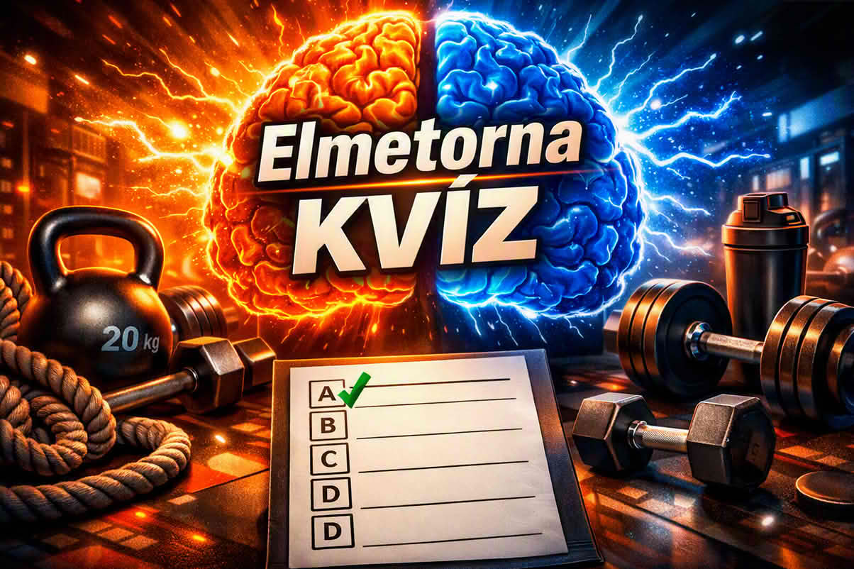 k elmetorna 1204 sv 02 Elmetorna kvíz