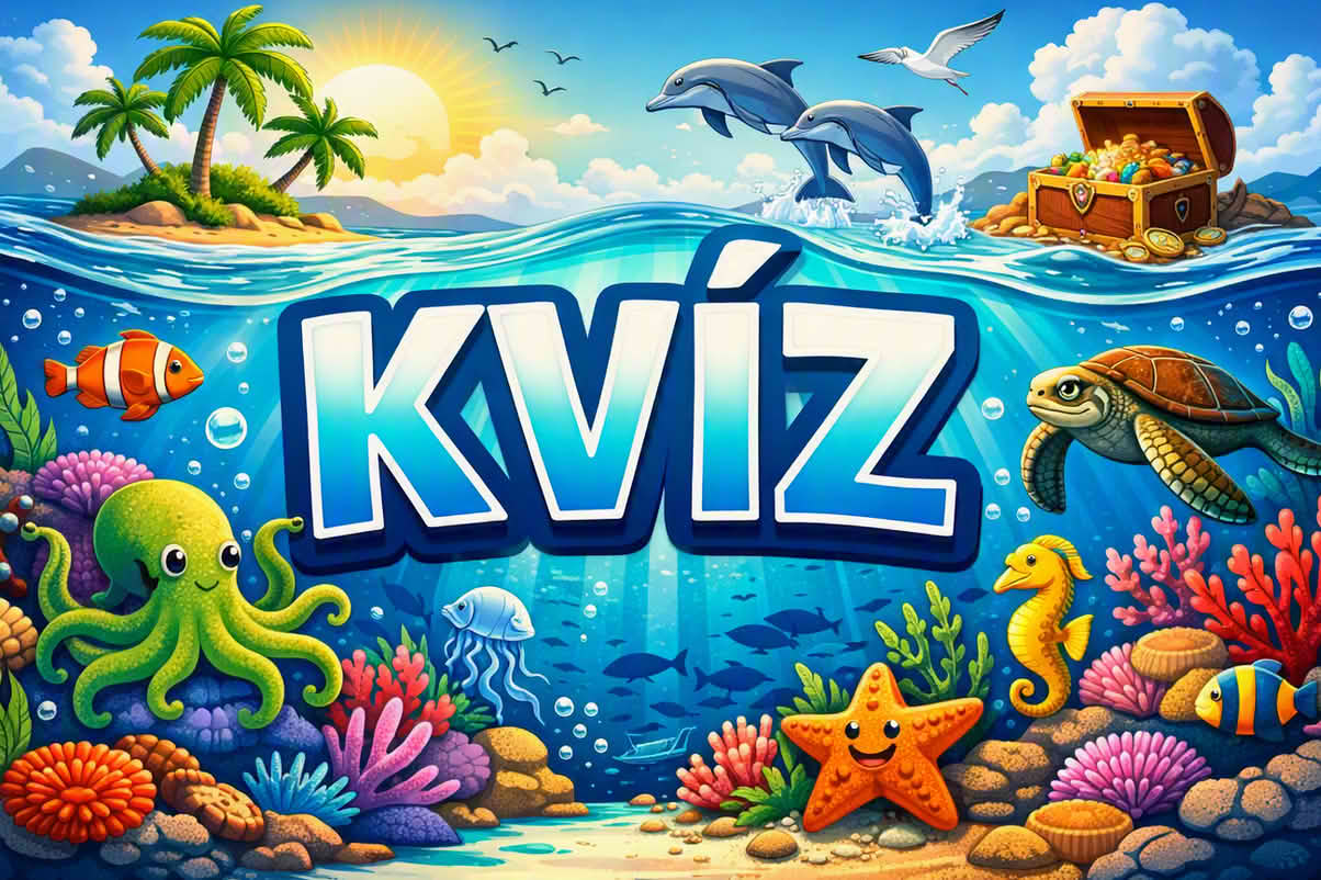 k kviz 1204 kk 13 Kvíz