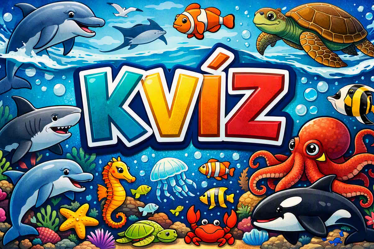 k kviz 1204 kk 18 Kvíz