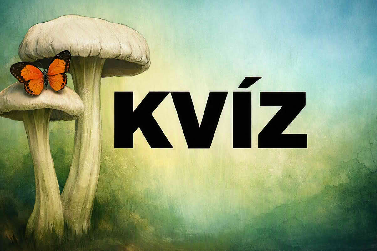 k kviz 1204 kv 112 Kvíz
