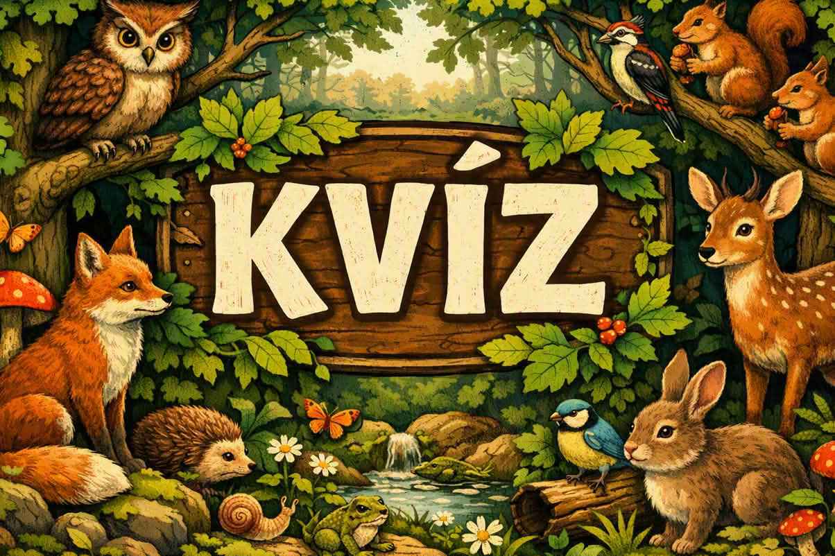 k kviz 1204 kz 15 Kvíz