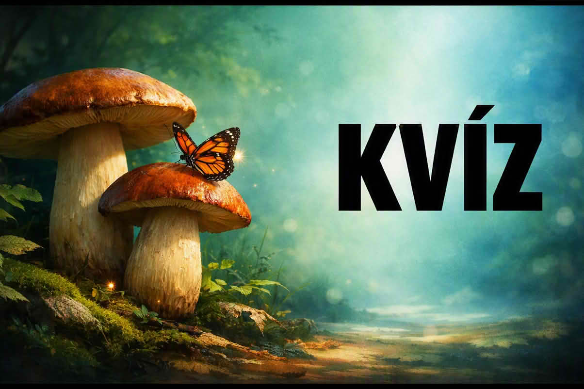 k kviz 1204 sv 40 Kvíz