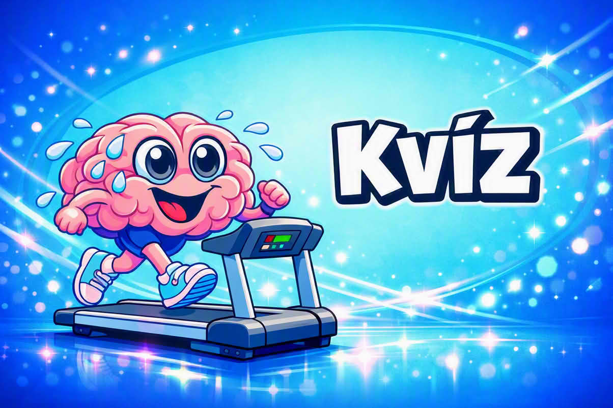kvíz