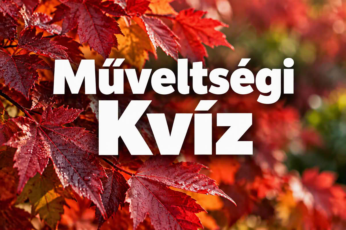 k muveltsegi 1204 kp 06 Műveltségi kvíz