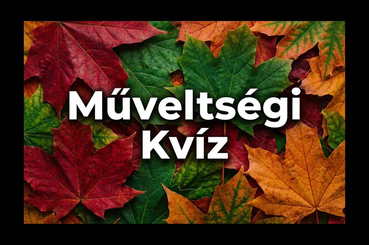 k muveltsegi 1204 sv 10 Műveltségi kvíz
