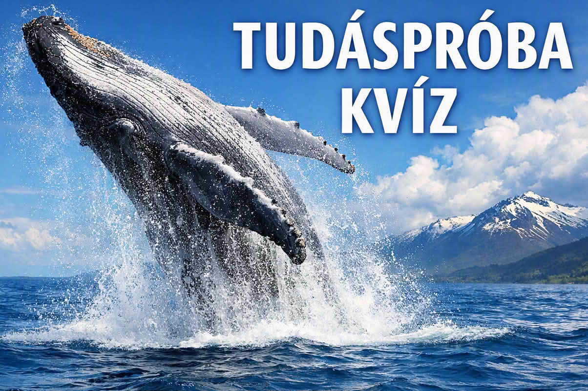k tudasproba 1204 kk 08 Tudáspróba kvíz